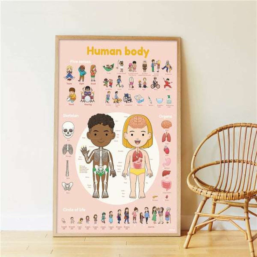 Lifestyle * | Poppik Poster De Pegatinas Human Body