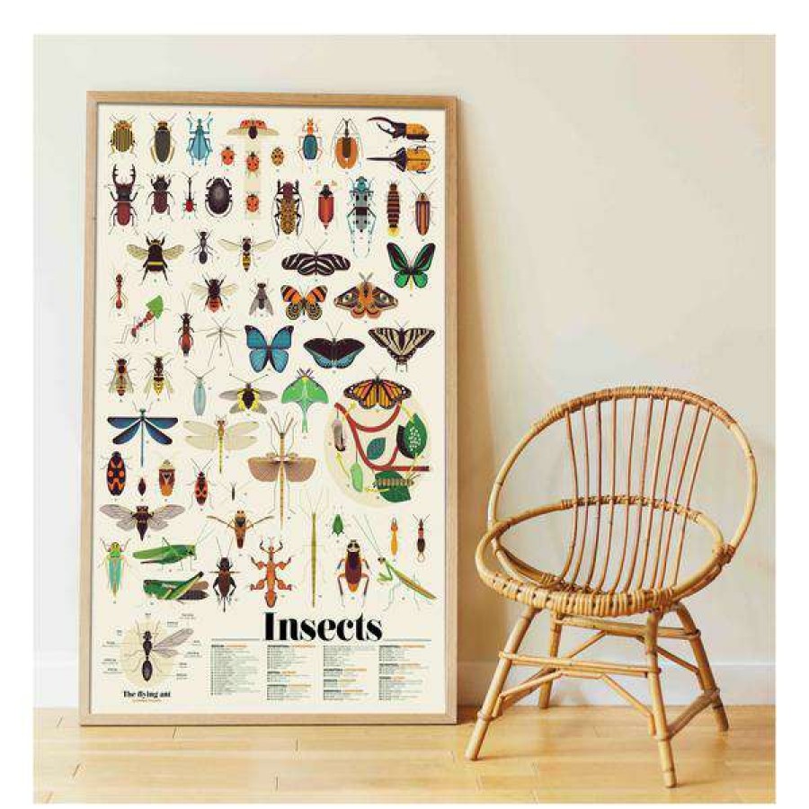 Homewares * | Poppik Poster De Pegatinas Insects