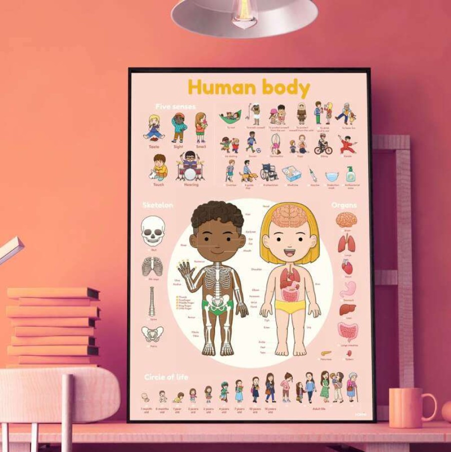 Lifestyle * | Poppik Educational Sticker Poster Human Body