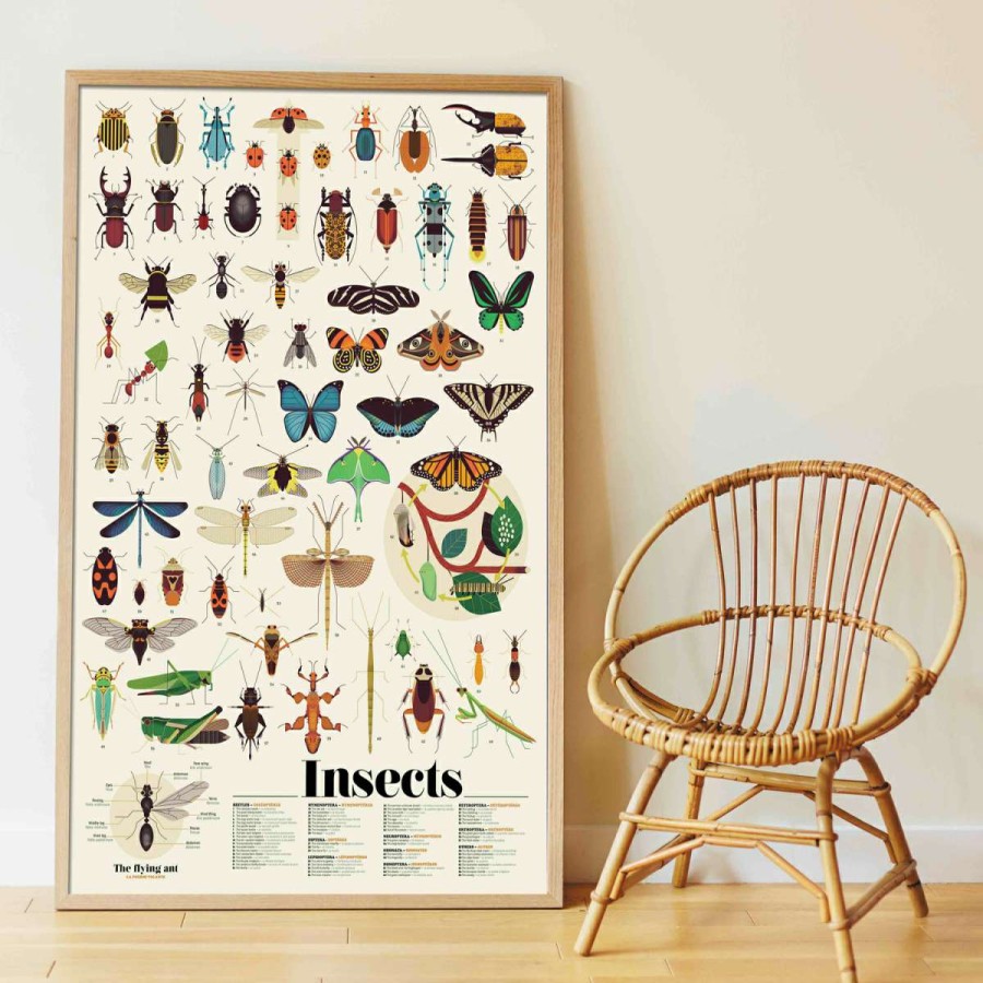 Lifestyle * | Poppik Insects Educational Sticker Poster + 44 Stickers