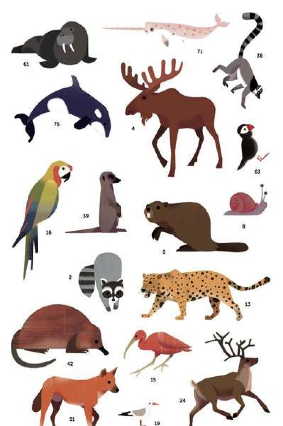 Lifestyle * | Poppik Poster De Pegatinas Animals Of The World